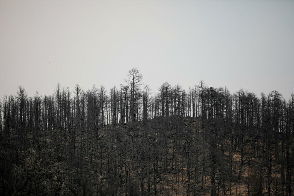 <p>"Znamo da je kod nas veoma rano za sezonu požara i svi smo u strahu zbog onoga što smo već iskusili", rekao je Dejv Bejls, komandant vatrogasne jedinice Novog Meksika</p>