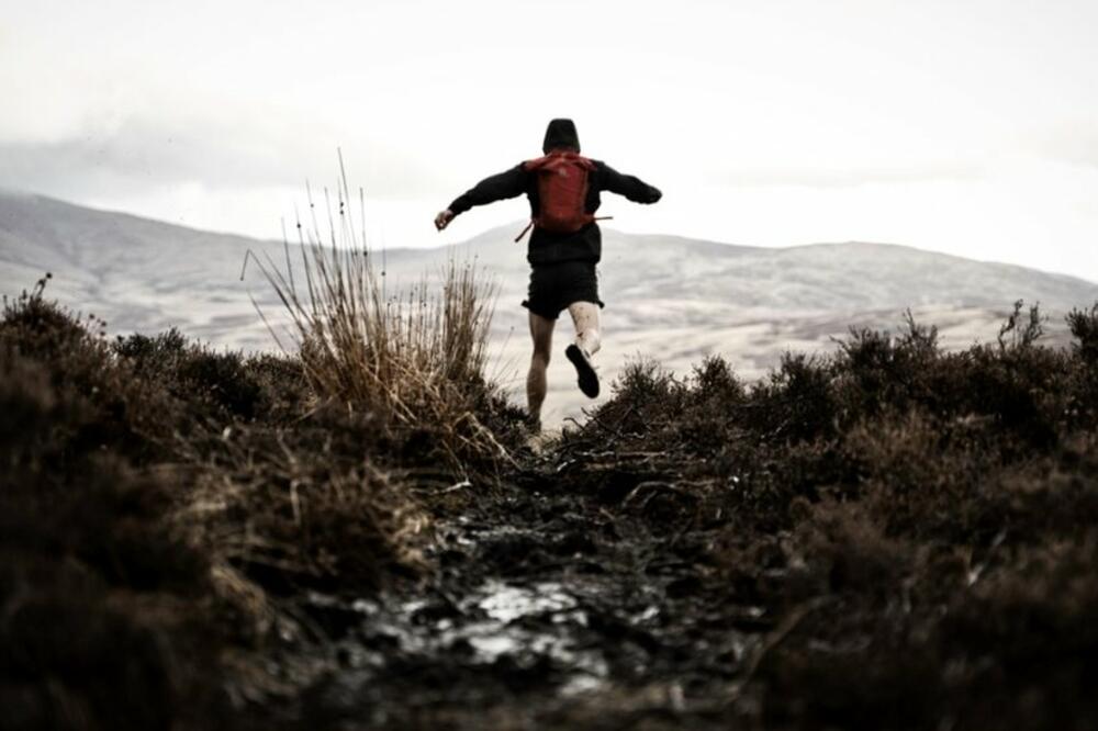 Foto: Scott Seefeldt/Trashhouse Panda