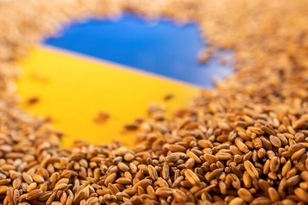 Ukrajina: Od žitnice do oskudice
