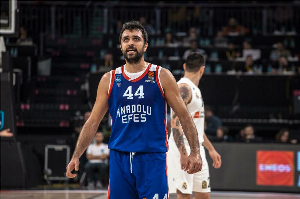 Simon, Foto: Shutterstock