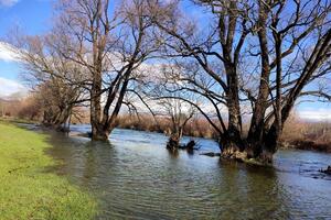 Gornji tok rijeke Zete – između zaštite i ugroženosti