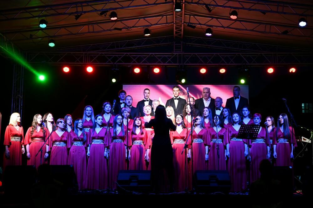 <p>Bjelopoljce i Bjelopoljke oduševio je i nastup najmlađih učesnika koji će Bijelo Polje predstavljati na takmičenju "Crna Gora u ritmu Evrope"</p>