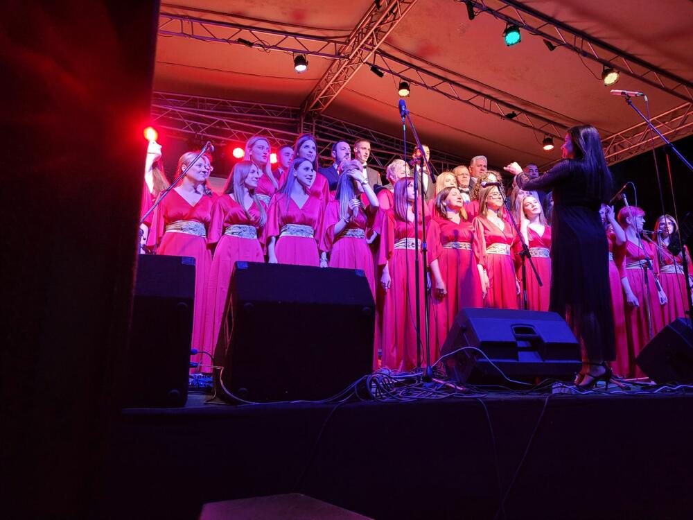 <p>Bjelopoljce i Bjelopoljke oduševio je i nastup najmlađih učesnika koji će Bijelo Polje predstavljati na takmičenju "Crna Gora u ritmu Evrope"</p>