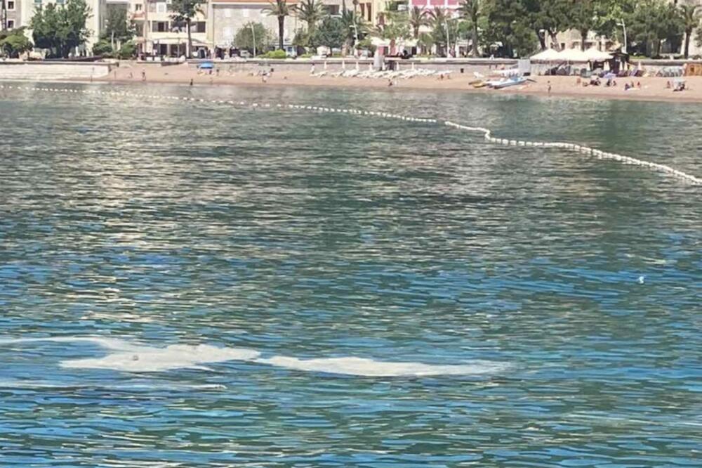 Danas u Petrovcu, Foto: Čitalac Vijesti