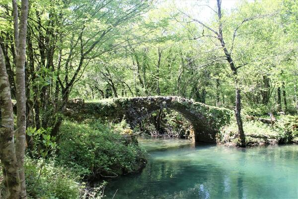 Upoznajte nove pješačke staze: Trail Orahovštica (1. dio)