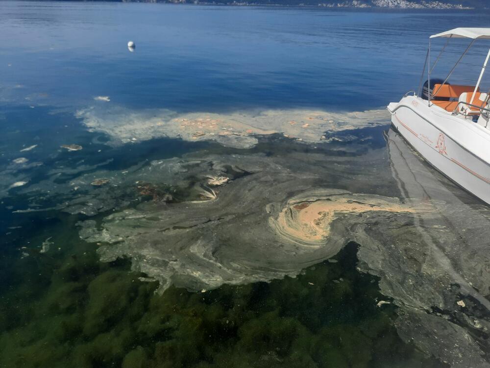 <p>Inspektori sigurnosti plovidbe izašli su na lice mjesta i uzeli uzorke prljavštinom prekrivene morske vode koji su poslati na analizu u laboratorije Instituta za biologiju mora u Kotoru</p>  <div contenteditable="false" tabindex="-1"> </div>