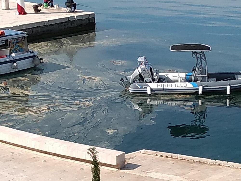 <p>Inspektori sigurnosti plovidbe izašli su na lice mjesta i uzeli uzorke prljavštinom prekrivene morske vode koji su poslati na analizu u laboratorije Instituta za biologiju mora u Kotoru</p>  <div contenteditable="false" tabindex="-1"> </div>