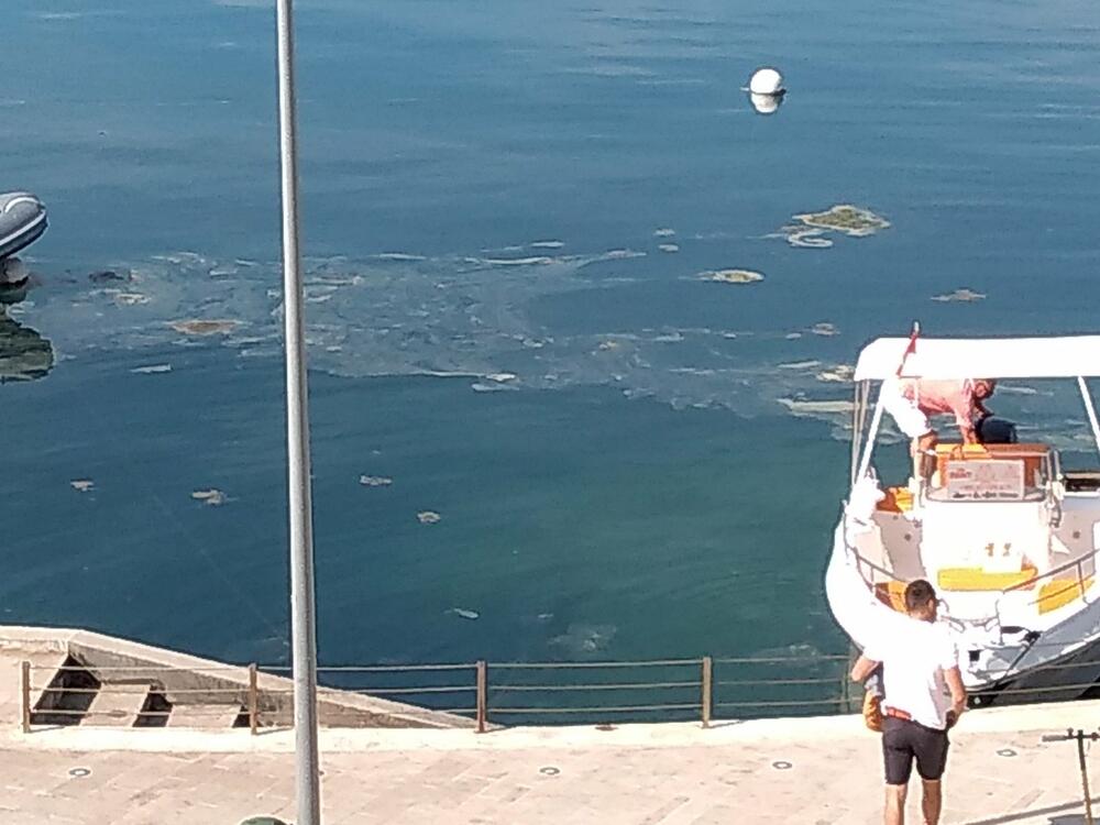 <p>Inspektori sigurnosti plovidbe izašli su na lice mjesta i uzeli uzorke prljavštinom prekrivene morske vode koji su poslati na analizu u laboratorije Instituta za biologiju mora u Kotoru</p>  <div contenteditable="false" tabindex="-1"> </div>