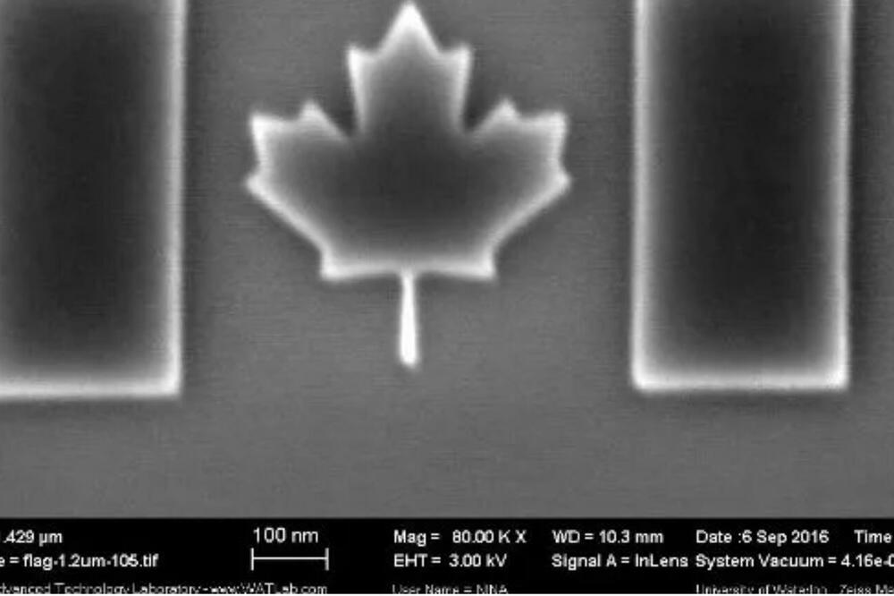 Foto: guinnuesworldrecords.com