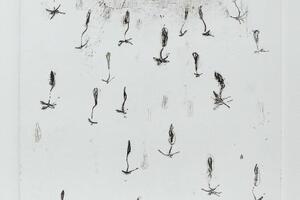 "Stvaranje tišine" u Petrovcu