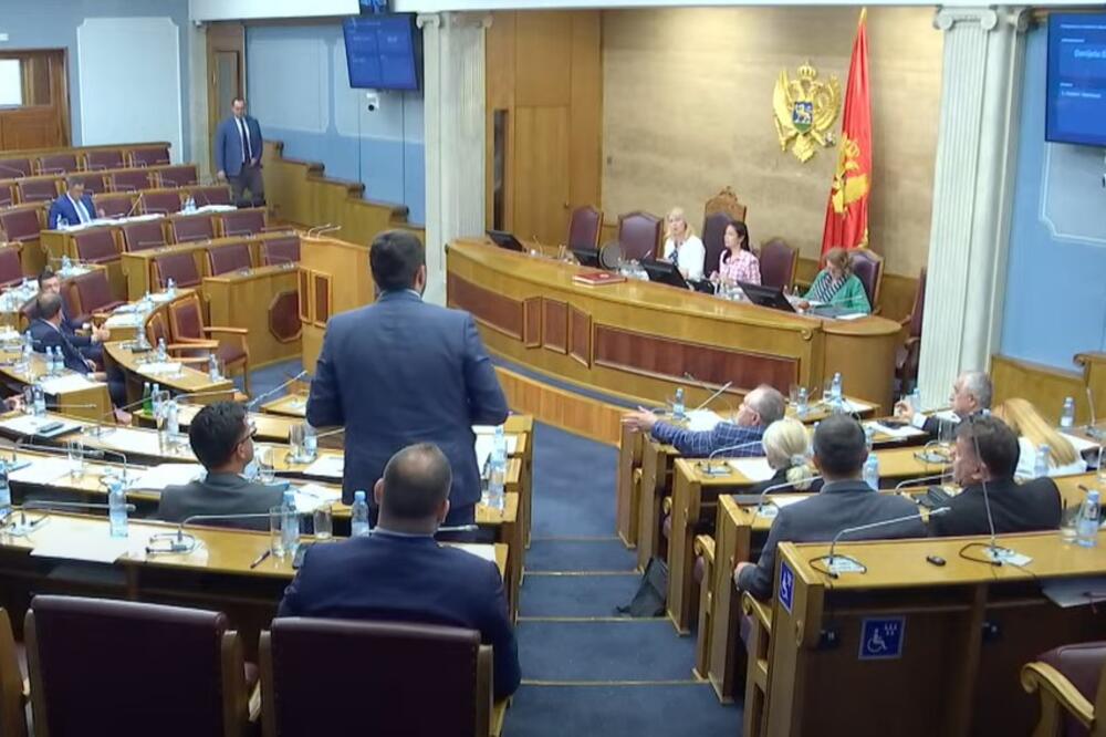 Detalj iz Skupštine, Foto: Skupština Crne Gore