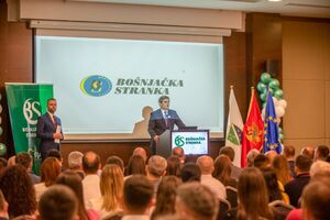 Ibrahimović: Prethodna Vlada nije vidjela potrebu da ima manjinske...