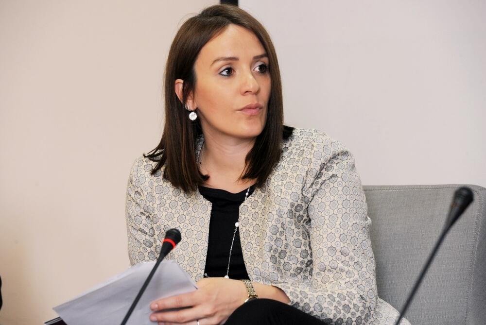 Ustavni sud da hitno razmotri inicijative: Biljana Papović