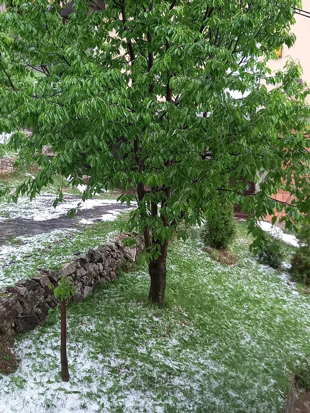 <p>Oštećeni vrtovi i voćnjaci, bujice tekle ulicama</p>