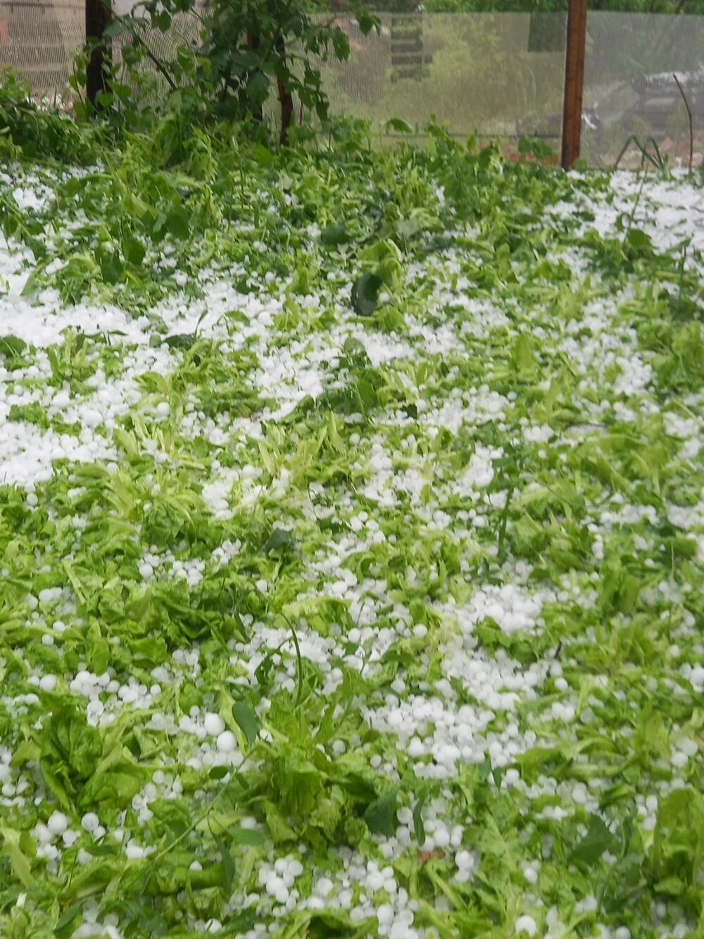 <p>Oštećeni vrtovi i voćnjaci, bujice tekle ulicama</p>