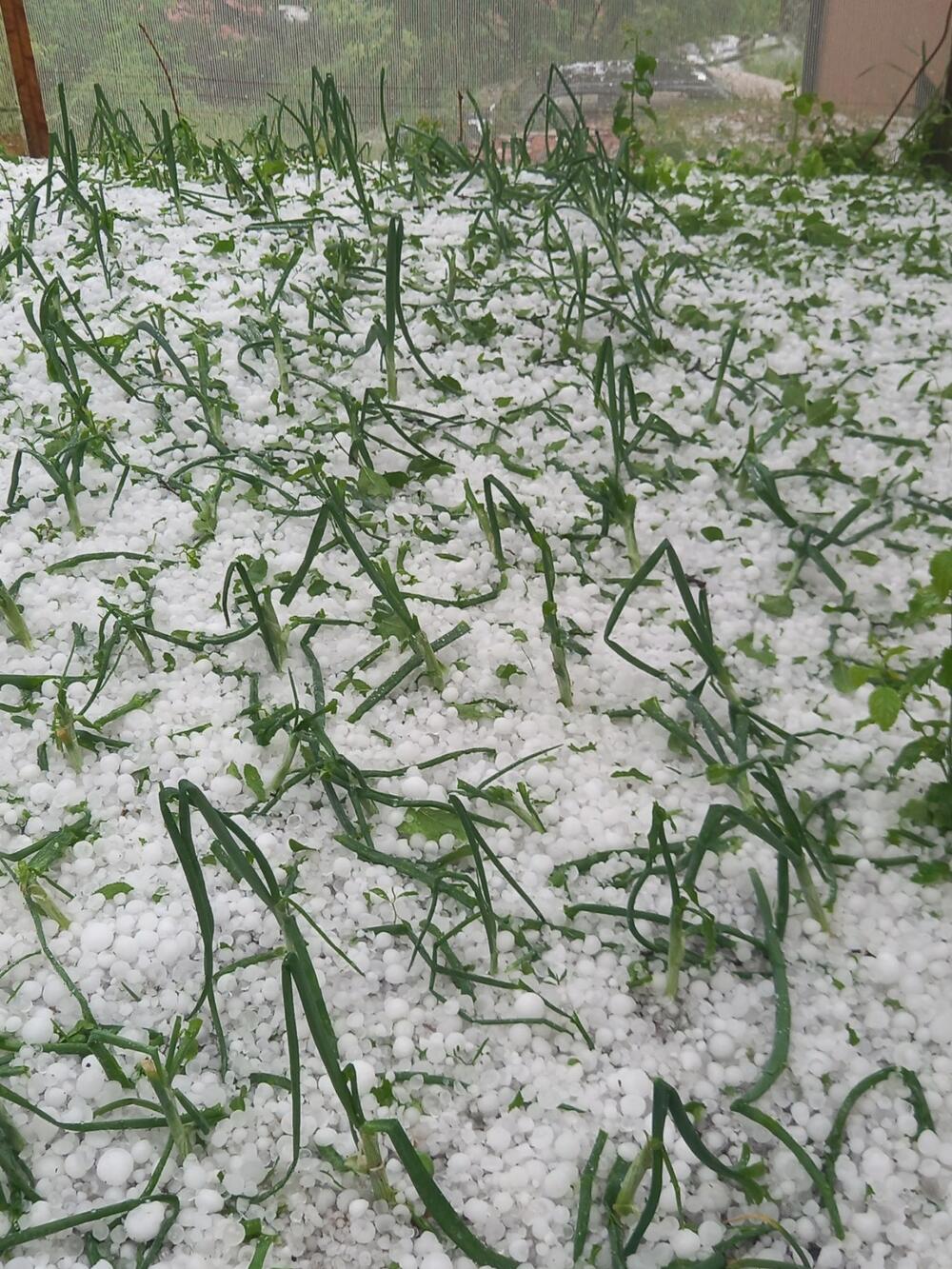 <p>Oštećeni vrtovi i voćnjaci, bujice tekle ulicama</p>