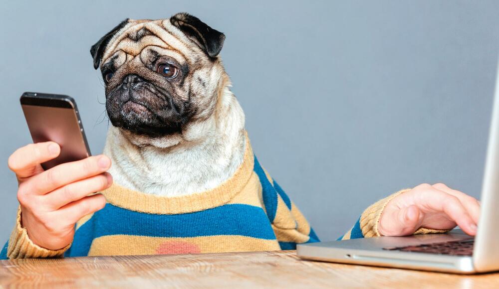 <p><strong>Od 02. juna na svim kioscima po cijeni od 3.99 EURA.</strong></p>