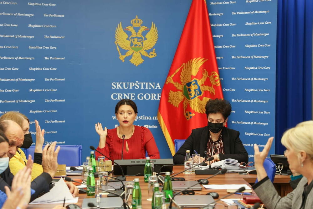 Sa jedne od ranijih sjednica Ustavnog odbora, Foto: Skupština Crne Gore