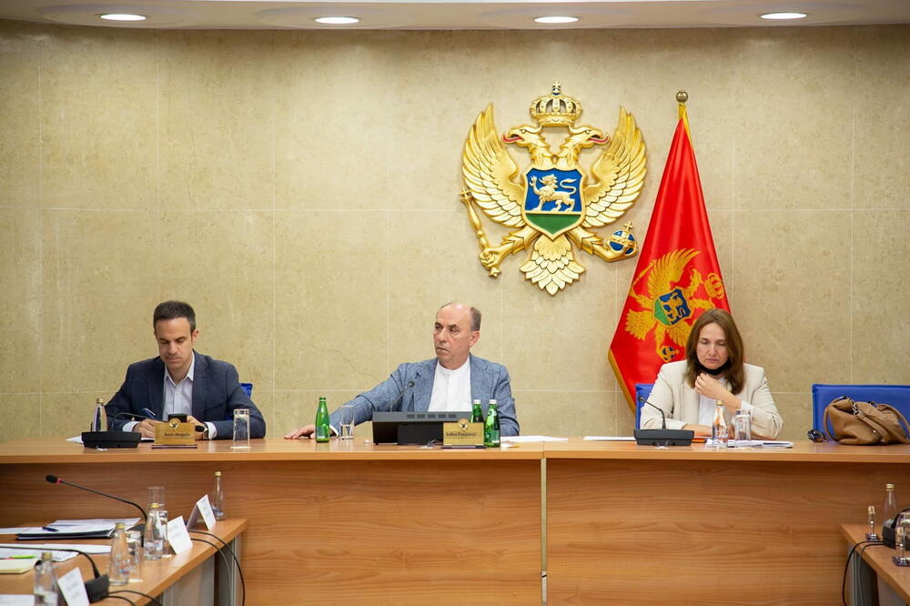 Sa saslušanja u Odboru za zdravstvo, rad i socijalno staranje, Foto: Skupstina.me