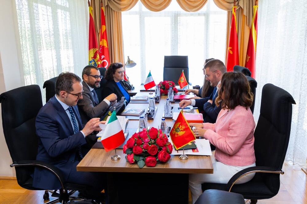 Sa današnjeg sastanka, Foto: Demokratska Crna Gora