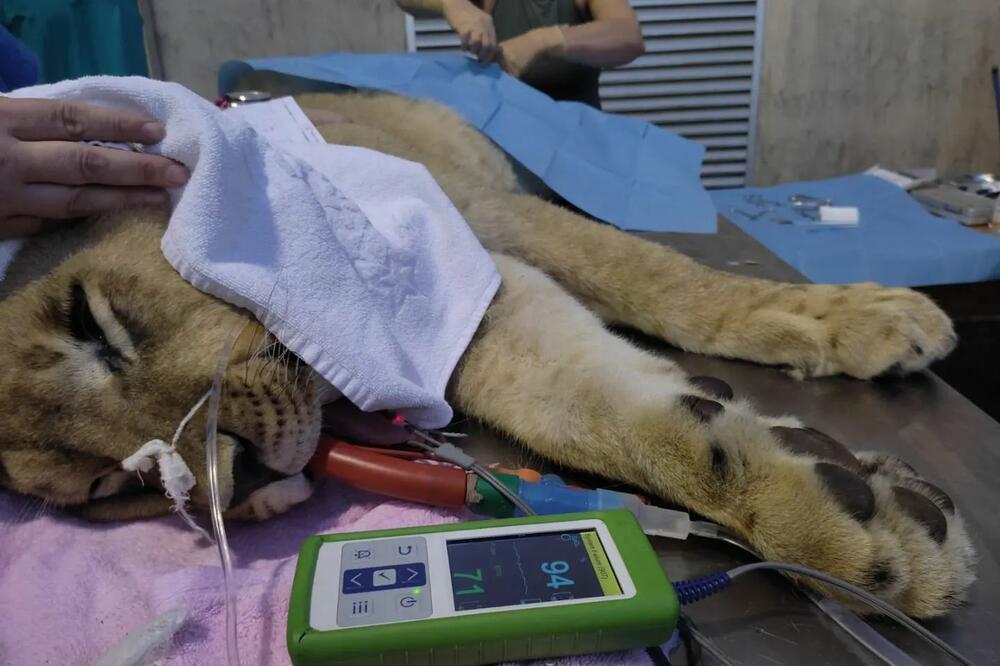 Foto: Agencija za zaštitu životne sredine