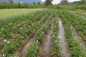 Sekretarijat za privredu Opštine Tivat objavio javni poziv za...