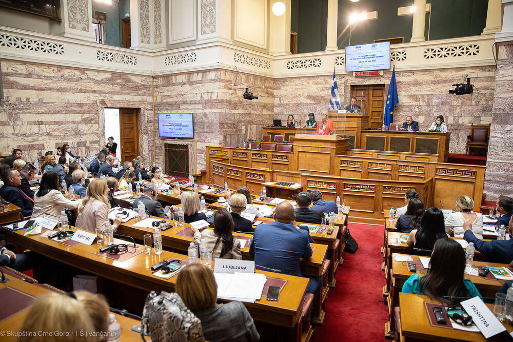 Danijela Đurović PS SEECP