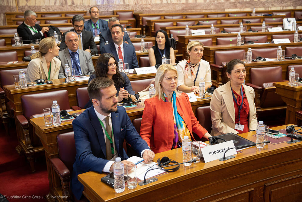 Danijela Đurović PS SEECP