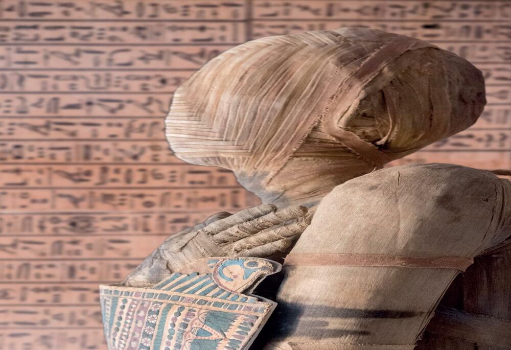 <p>Egmontova kolekcija National Geographic Zašto?</p>