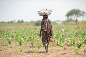 Čad proglasio vanredno stanje zbog krize sa hranom
