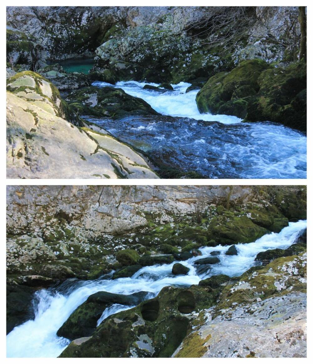 Crnojevića rijeka