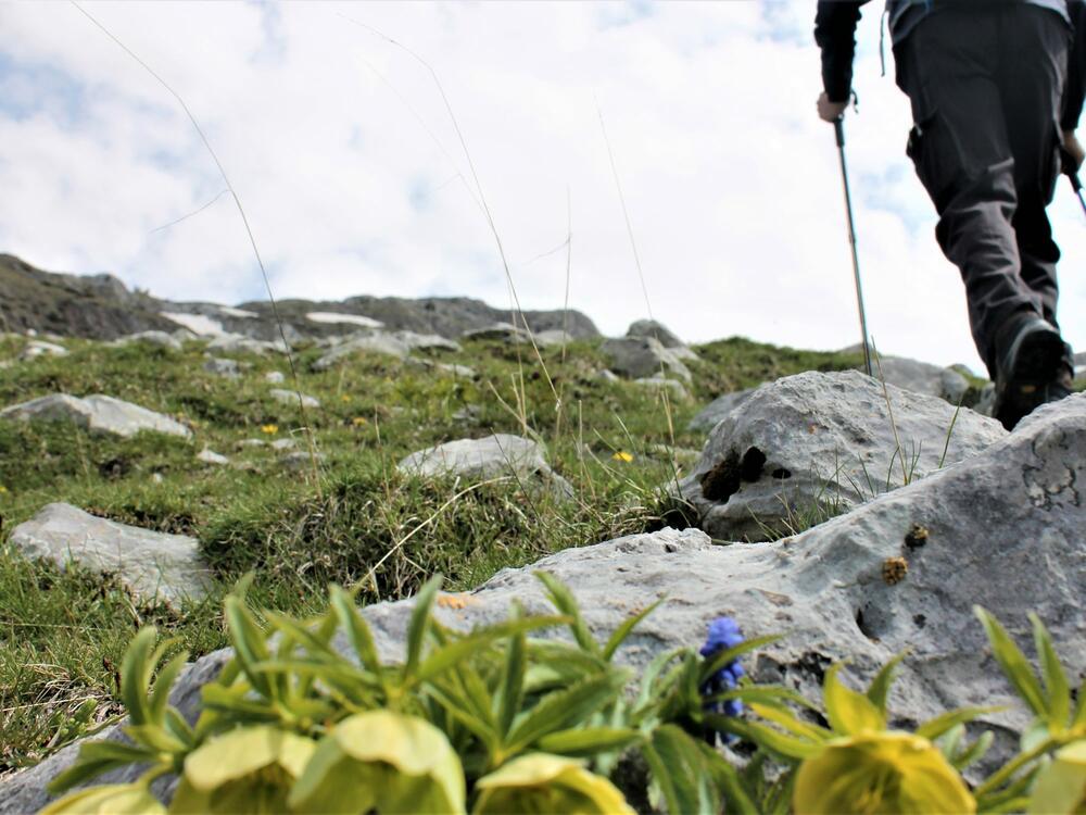 Foto: Jasna Gajević