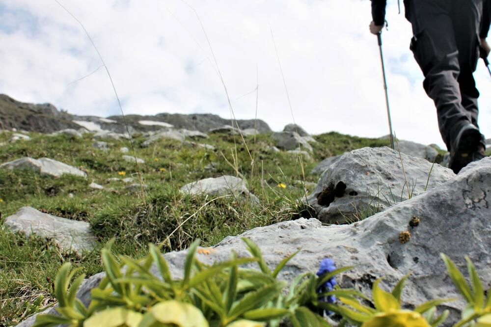 Foto: Jasna Gajević