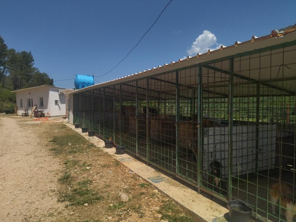 Volonteri nisu dobrodošli: Azil