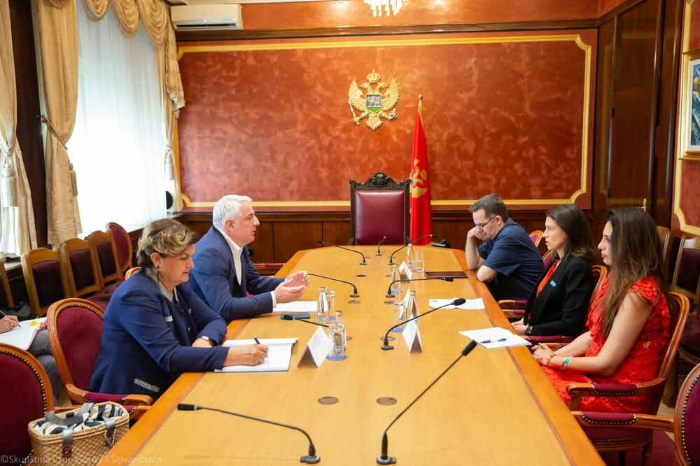 Sa sastanka, Foto: DF