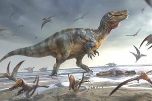 Ostaci "najvećeg u istoriji" dinosaurusa pronađeni na engleskom...