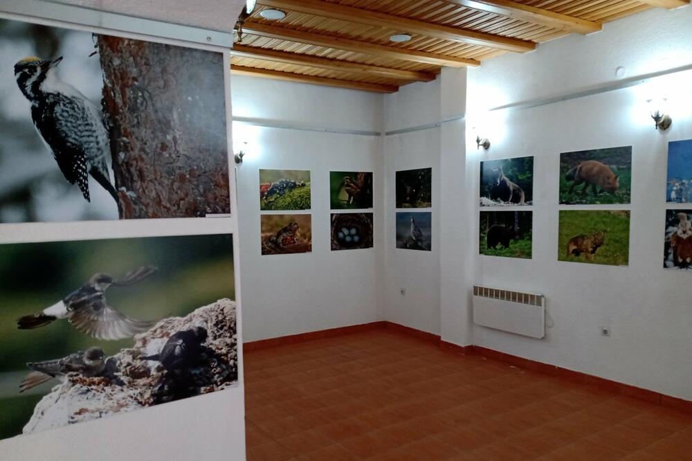 Dio postavke u Bijelom Polju, Foto: Jadranka Ćetković