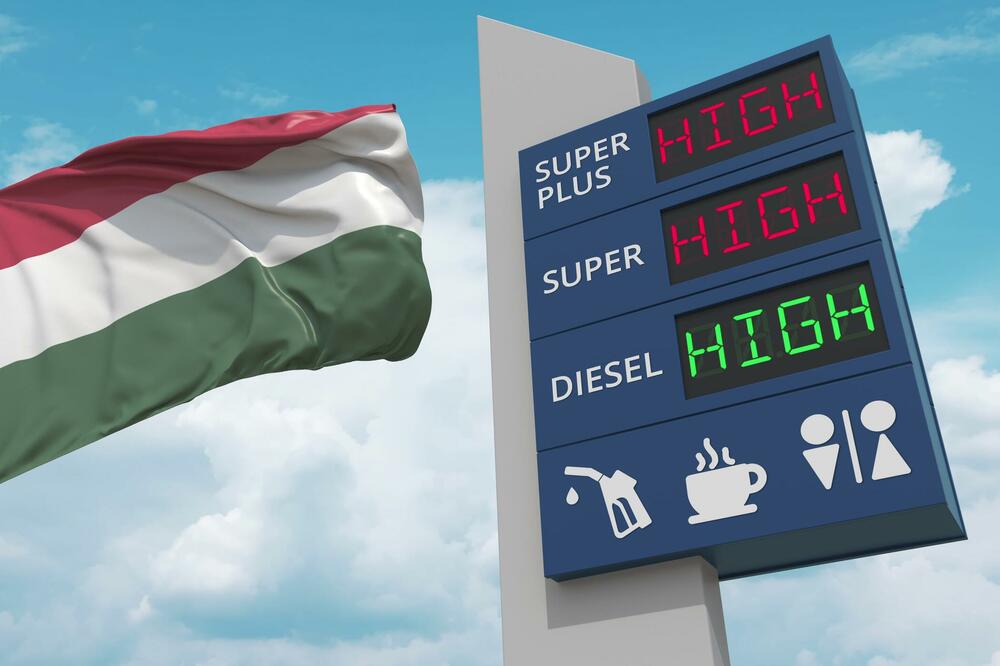 Ilustracija, Foto: Shutterstock