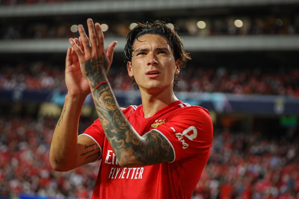 Darvin Nunjes, Foto: Shutterstock