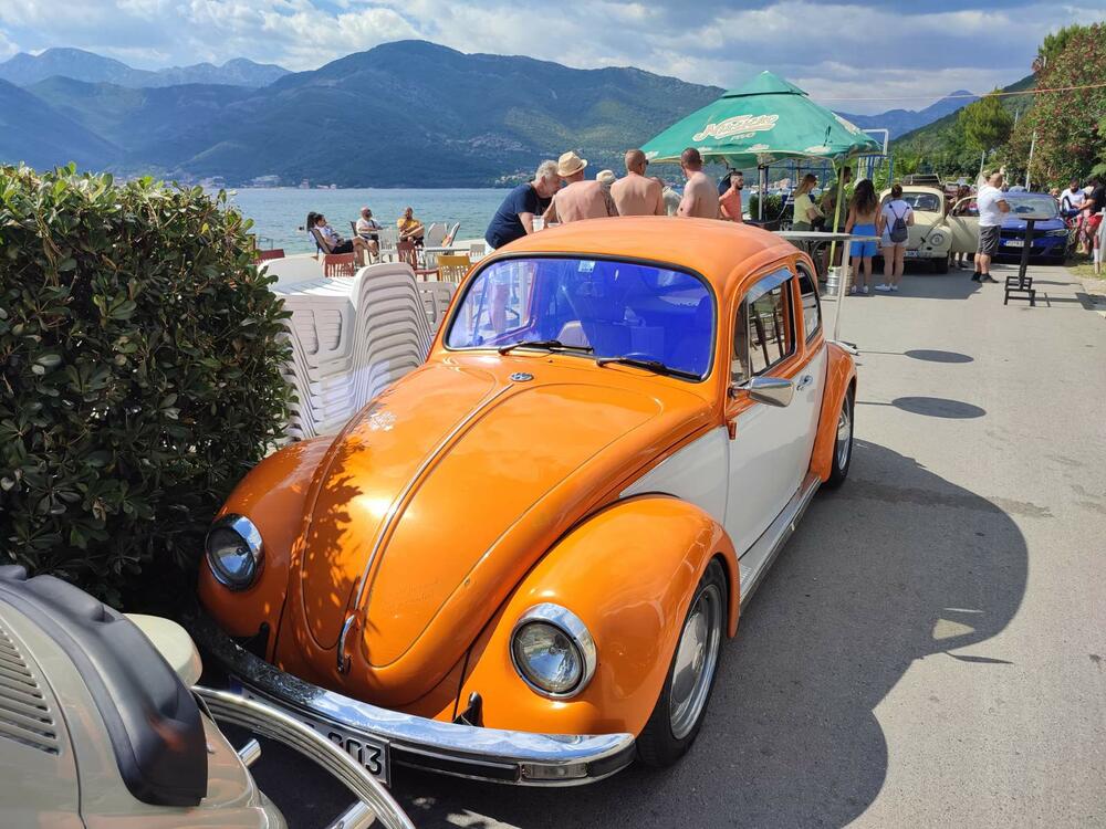 <p>Apsolutna zvijezda izložbe bio je fantastično očuvani "transporter T1" iz Srbije, u danas vrlo rijetko sačuvanoj varijanti "putara", odnosno duple putnilke kabine i tovarnog prostora sa ceradom na repu</p>