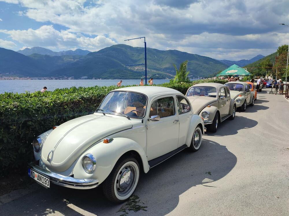 <p>Apsolutna zvijezda izložbe bio je fantastično očuvani "transporter T1" iz Srbije, u danas vrlo rijetko sačuvanoj varijanti "putara", odnosno duple putnilke kabine i tovarnog prostora sa ceradom na repu</p>