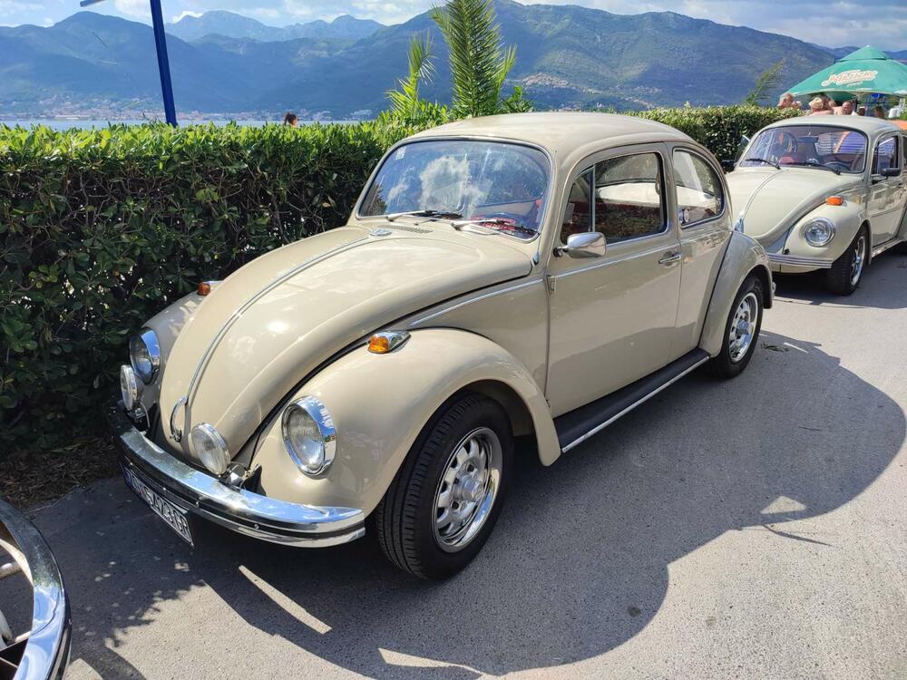 <p>Apsolutna zvijezda izložbe bio je fantastično očuvani "transporter T1" iz Srbije, u danas vrlo rijetko sačuvanoj varijanti "putara", odnosno duple putnilke kabine i tovarnog prostora sa ceradom na repu</p>