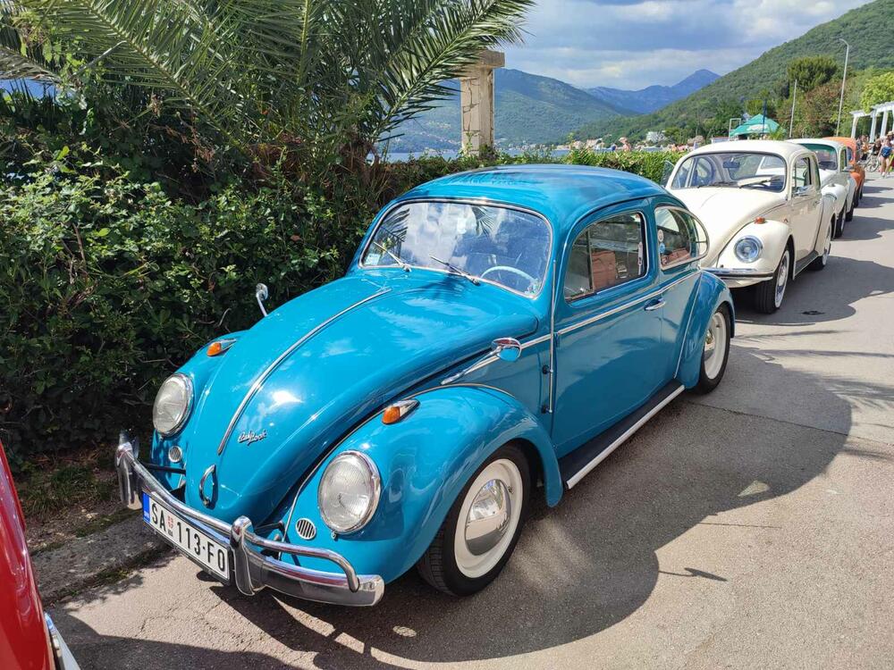 <p>Apsolutna zvijezda izložbe bio je fantastično očuvani "transporter T1" iz Srbije, u danas vrlo rijetko sačuvanoj varijanti "putara", odnosno duple putnilke kabine i tovarnog prostora sa ceradom na repu</p>