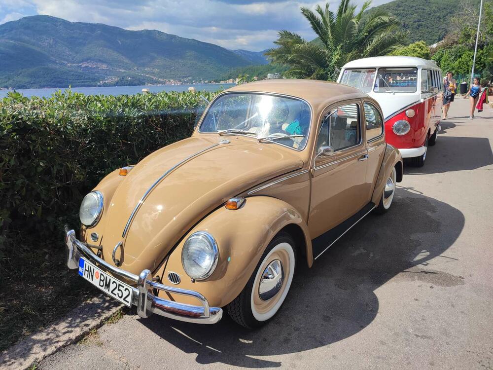 <p>Apsolutna zvijezda izložbe bio je fantastično očuvani "transporter T1" iz Srbije, u danas vrlo rijetko sačuvanoj varijanti "putara", odnosno duple putnilke kabine i tovarnog prostora sa ceradom na repu</p>