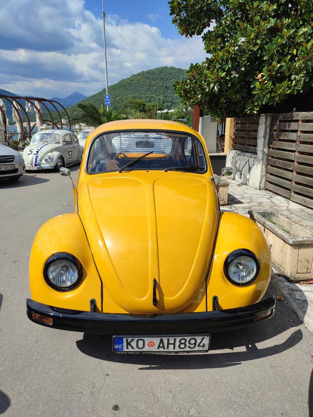 <p>Apsolutna zvijezda izložbe bio je fantastično očuvani "transporter T1" iz Srbije, u danas vrlo rijetko sačuvanoj varijanti "putara", odnosno duple putnilke kabine i tovarnog prostora sa ceradom na repu</p>