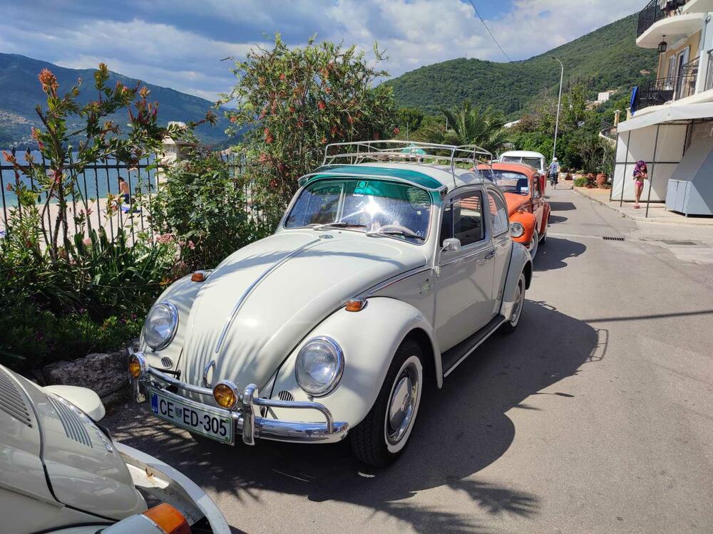 <p>Apsolutna zvijezda izložbe bio je fantastično očuvani "transporter T1" iz Srbije, u danas vrlo rijetko sačuvanoj varijanti "putara", odnosno duple putnilke kabine i tovarnog prostora sa ceradom na repu</p>