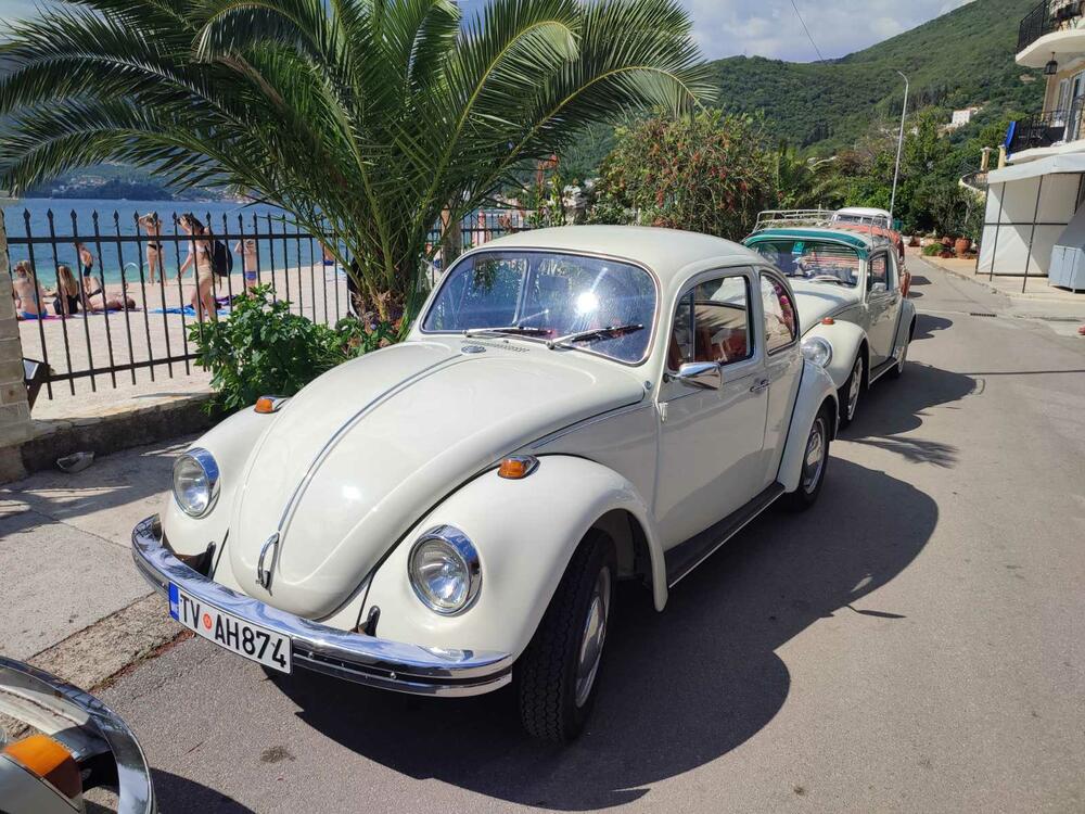 <p>Apsolutna zvijezda izložbe bio je fantastično očuvani "transporter T1" iz Srbije, u danas vrlo rijetko sačuvanoj varijanti "putara", odnosno duple putnilke kabine i tovarnog prostora sa ceradom na repu</p>