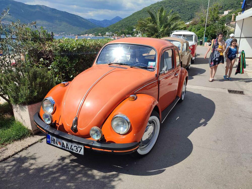 <p>Apsolutna zvijezda izložbe bio je fantastično očuvani "transporter T1" iz Srbije, u danas vrlo rijetko sačuvanoj varijanti "putara", odnosno duple putnilke kabine i tovarnog prostora sa ceradom na repu</p>