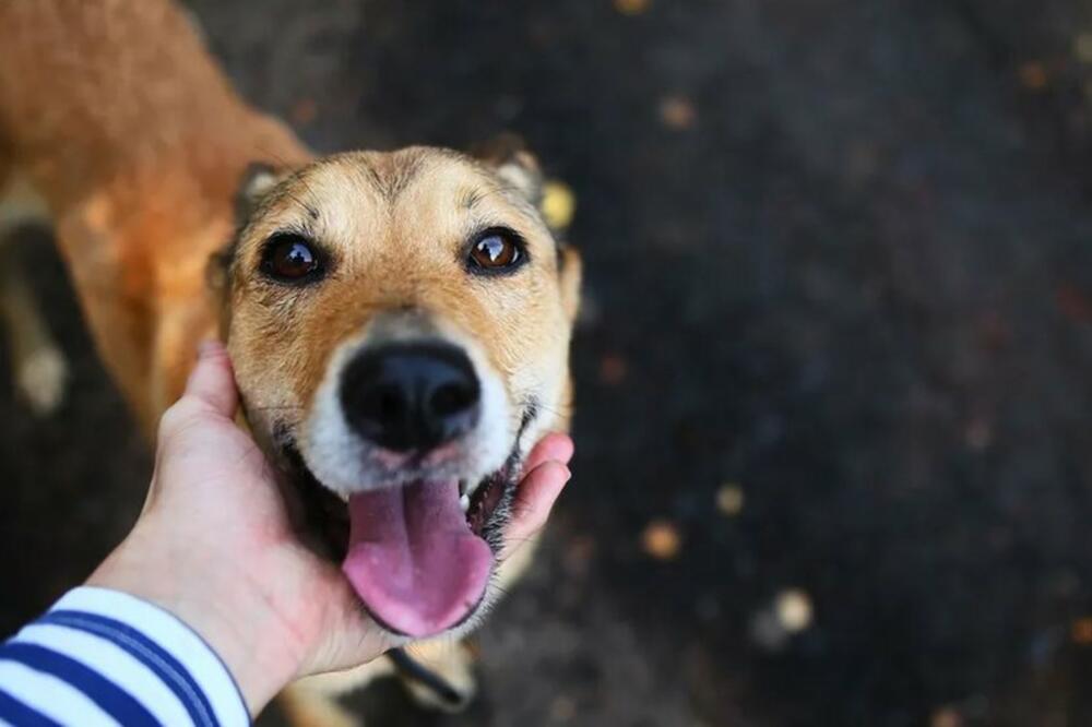 Ilustracija, Foto: Alexandr Zotov/Getty Images