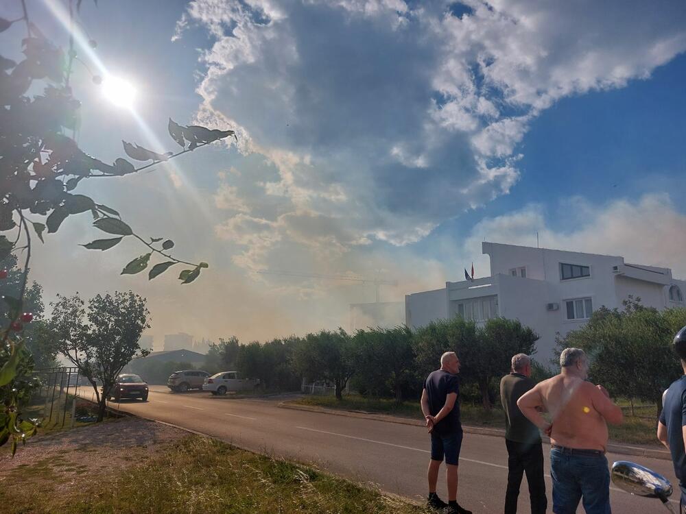 <p>Veliki broj vatrogasnih vozila gasio je požar, vjetar otežavao posao</p>